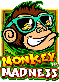 แอ พ เกม pgคา สิ โน ออ โต้: สูตรลับเอาชนะ